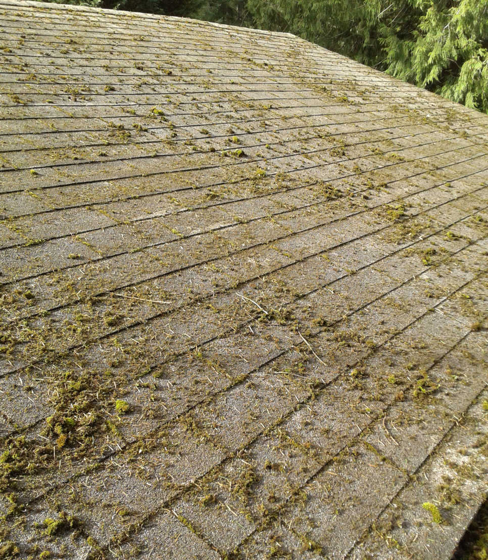 Roof Cleaning, Tacoma, WA