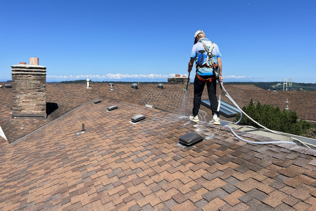 Roof Cleaning Tacoma WA Orca Pro Wash Soft Washing