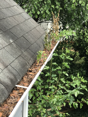 Gutter Washing in Tacoma, Washington